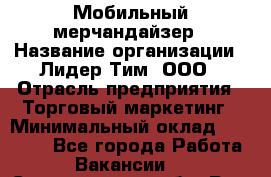 Мобильный мерчандайзер › Название организации ­ Лидер Тим, ООО › Отрасль предприятия ­ Торговый маркетинг › Минимальный оклад ­ 23 000 - Все города Работа » Вакансии   . Свердловская обл.,Реж г.